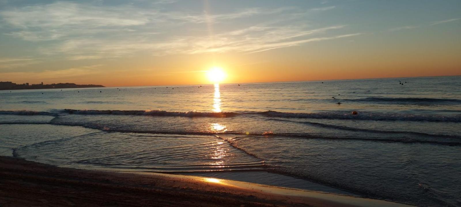 Sanfernando14 Lägenhet Alicante Exteriör bild