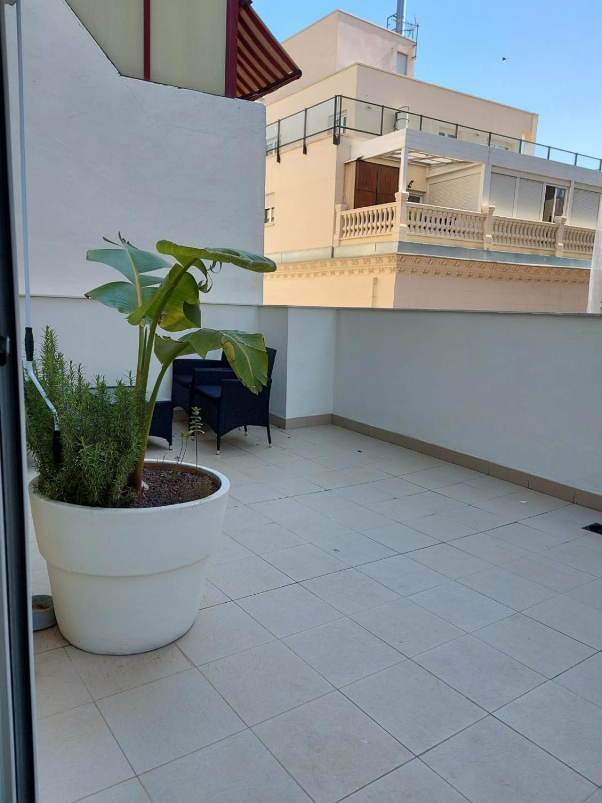Sanfernando14 Lägenhet Alicante Exteriör bild