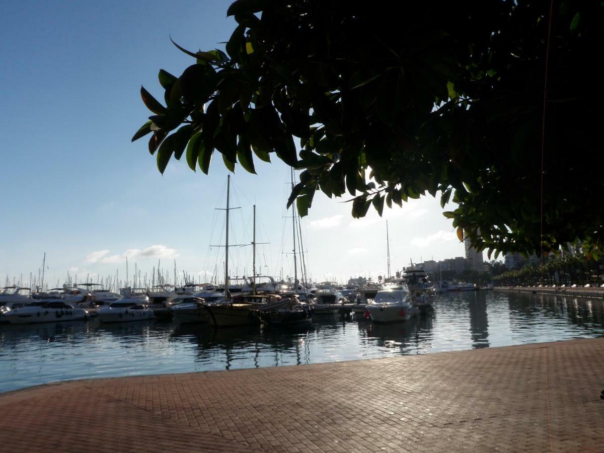 Sanfernando14 Lägenhet Alicante Exteriör bild
